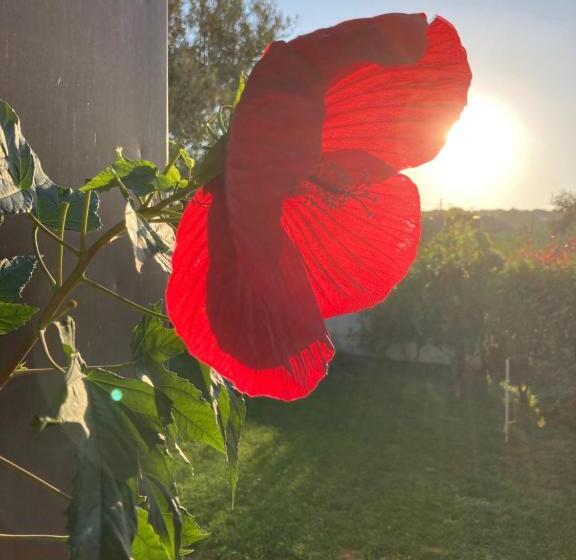 민박 Gioia In Collina