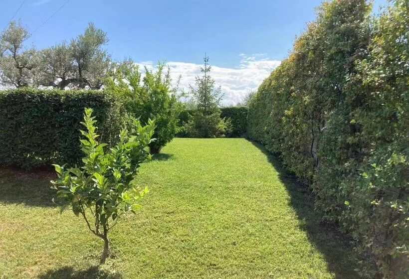 Aamiaismajoitus (B&B) Gioia In Collina