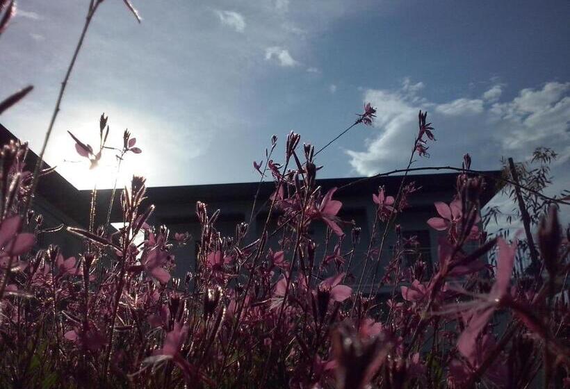 住宿加早餐  Gioia In Collina