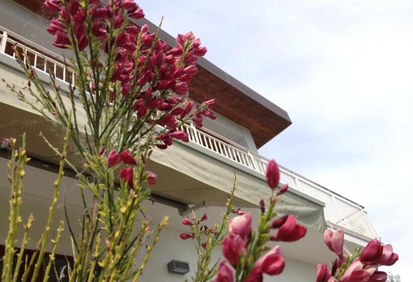 住宿加早餐  Gioia In Collina