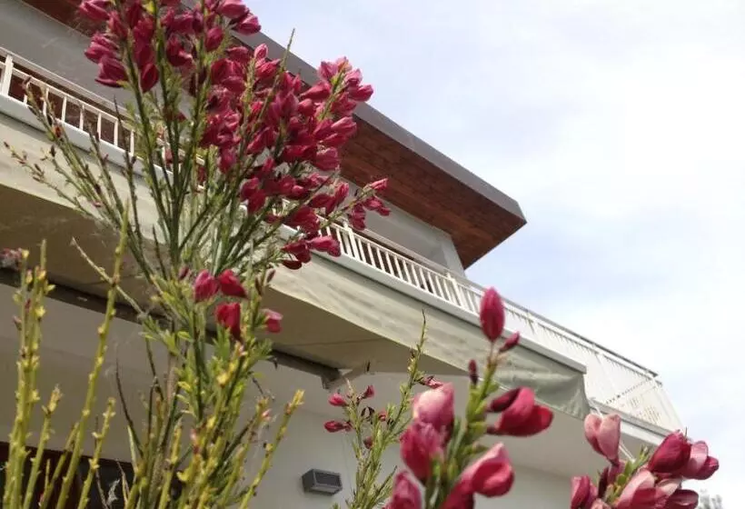 Aamiaismajoitus (B&B) Gioia In Collina