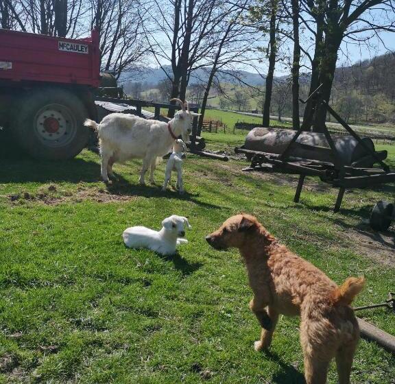 住宿加早餐  Stybeck Farm