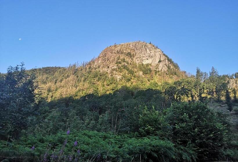 住宿加早餐  Stybeck Farm