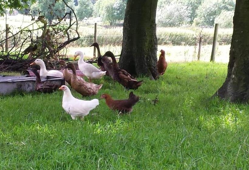 住宿加早餐  Stybeck Farm