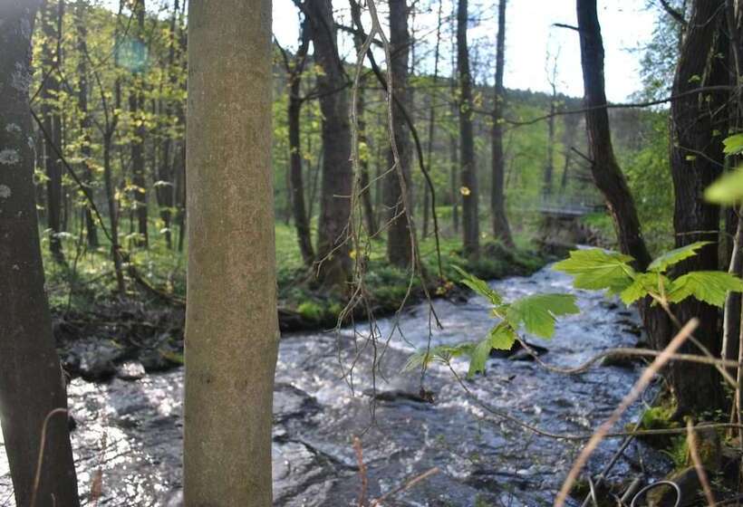 Gasthof & Pension Brettmühle