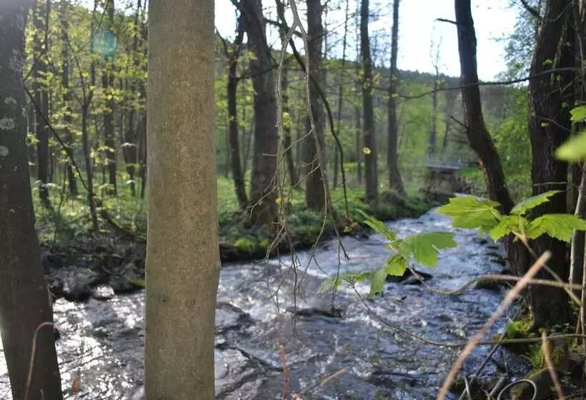 Gasthof & Pension Brettmühle