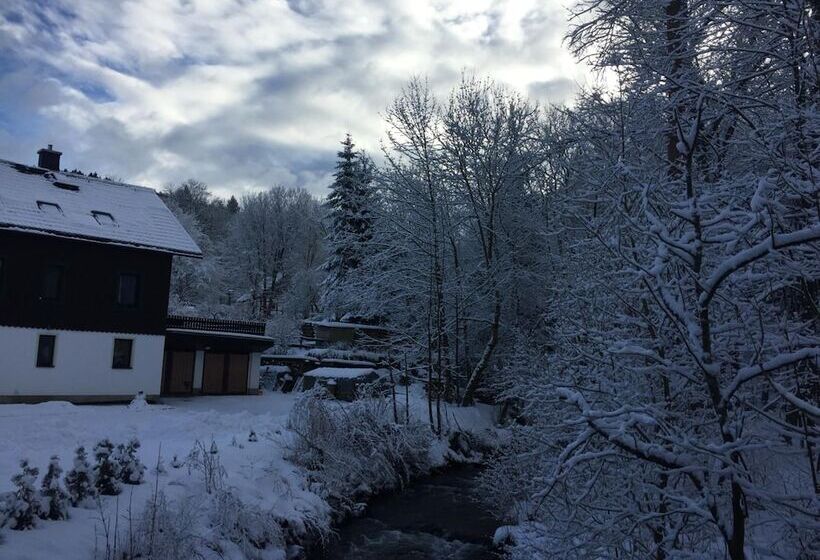 Gasthof & Pension Brettmühle