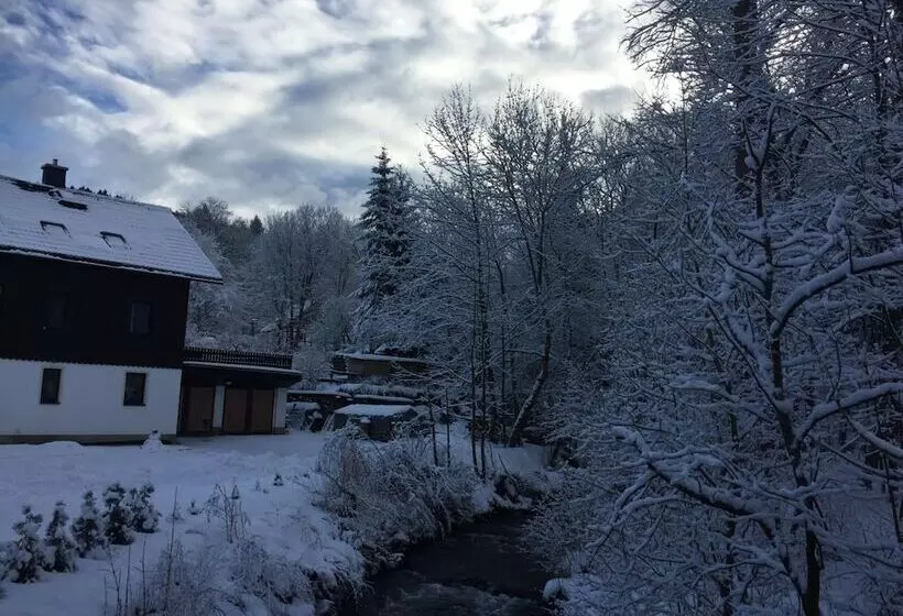 Gasthof & Pension Brettmühle
