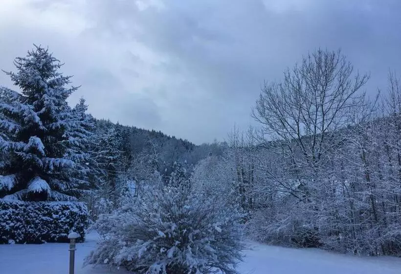 Gasthof & Pension Brettmühle