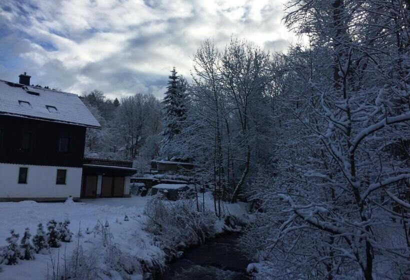 Gasthof & Pension Brettmühle