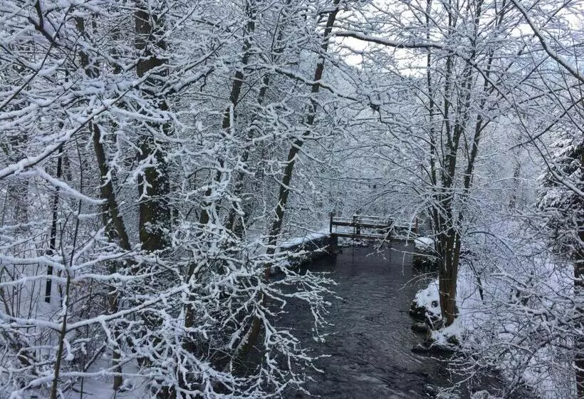 Gasthof & Pension Brettmühle