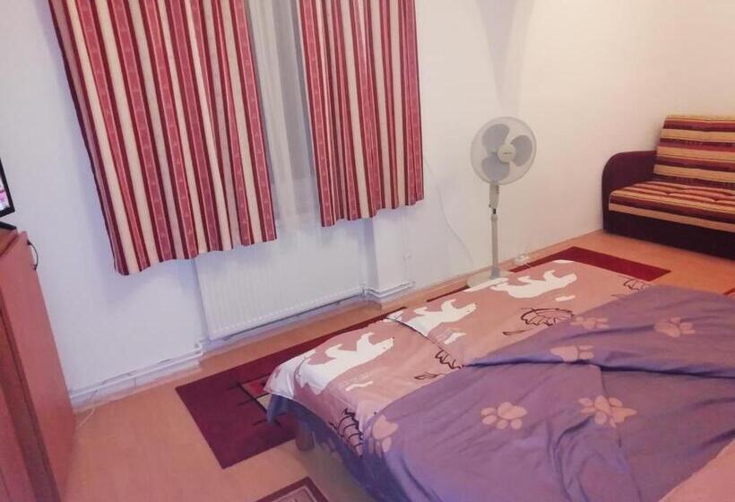 بنسيون Asta La Vista Vendégház