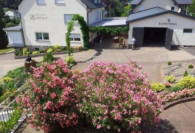 ペンション Ferienweingut Liebfried