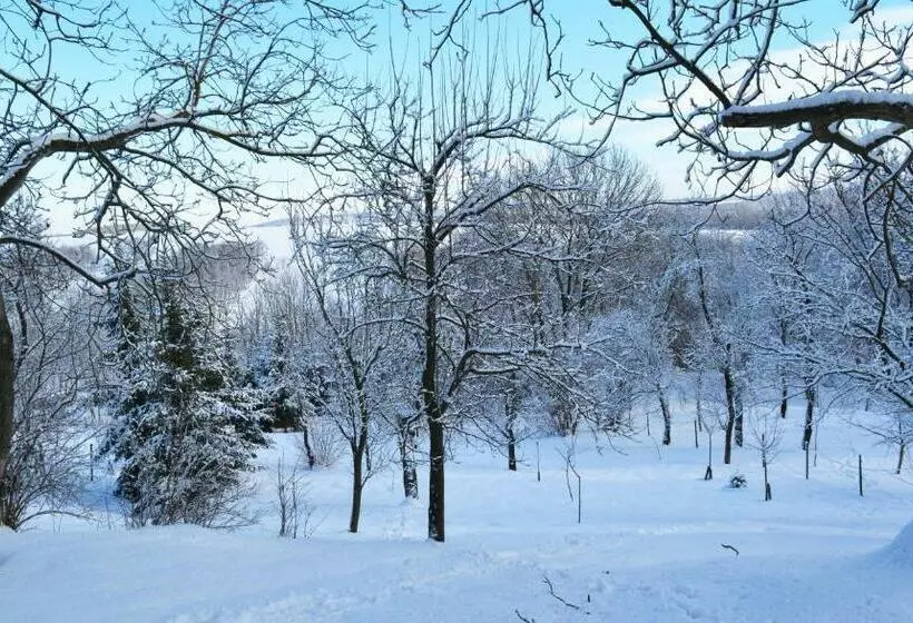 ペンション Jákó Ház