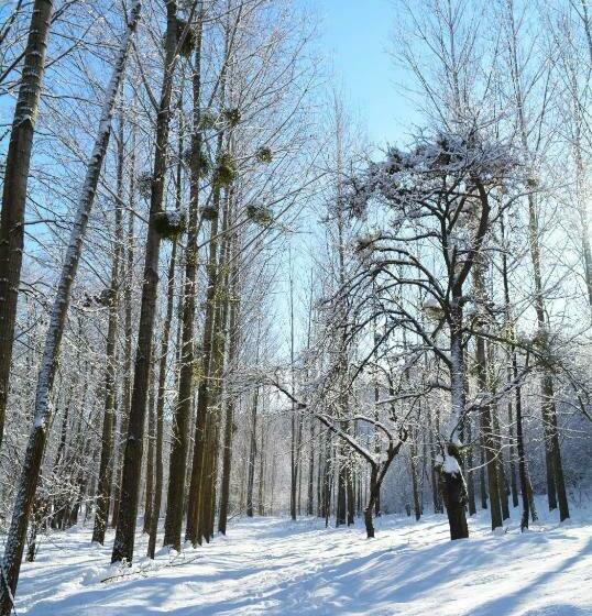 膳宿费 Jákó Ház