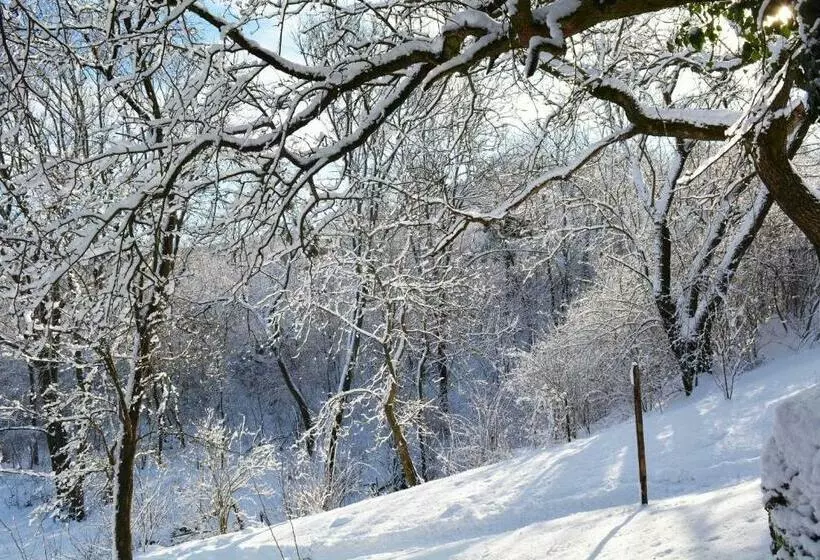 ペンション Jákó Ház