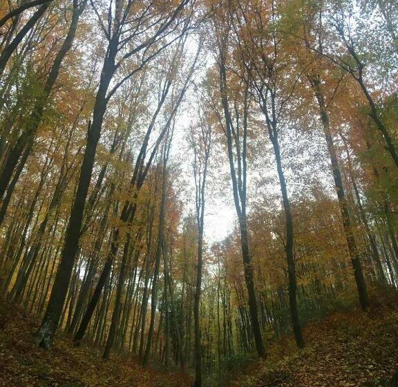 膳宿费 Jákó Ház