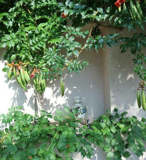 膳宿费 Jákó Ház