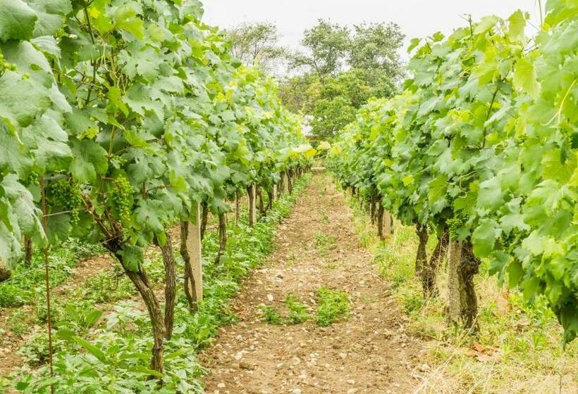 膳宿费 Penzion S Restaurací Na Furhaple