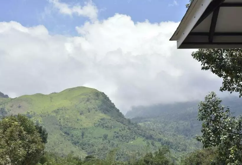 Lomakeskus Sattva The Awakening Garden