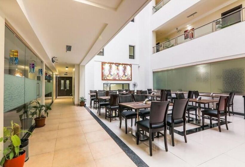 Bed and Breakfast Magnus Square Business