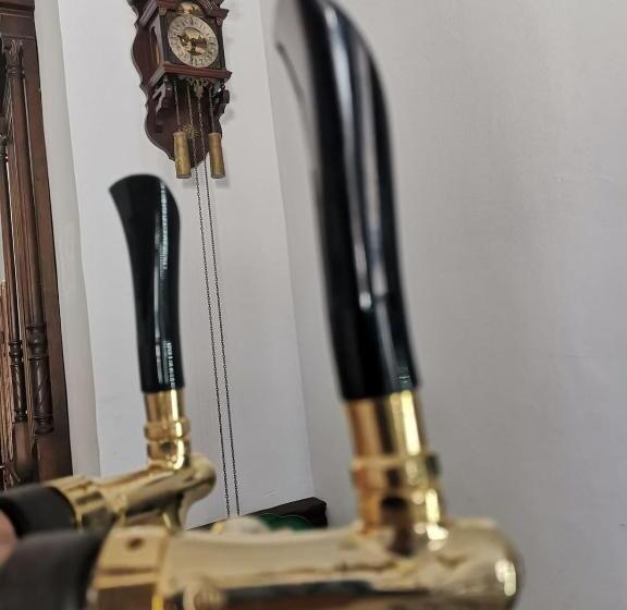 פנסיון Casa Kuhn