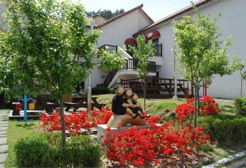 Damyang Meta Pension