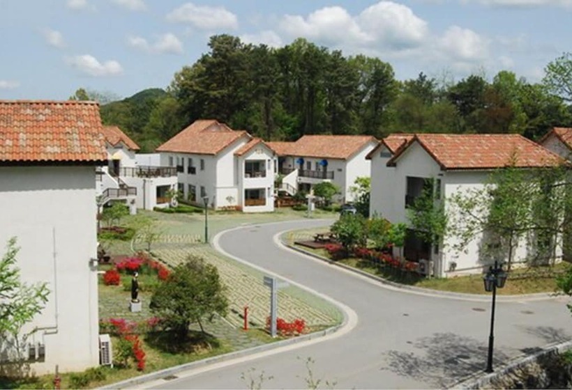 Damyang Meta Pension