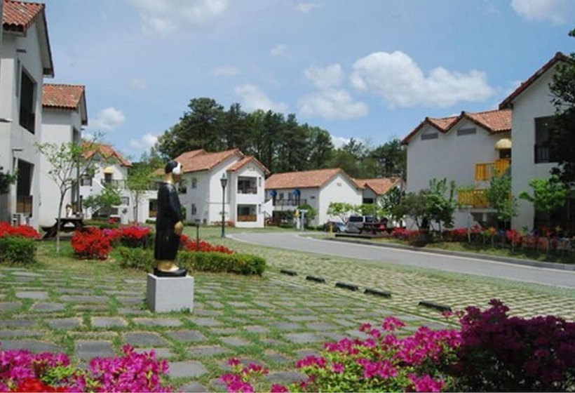 Damyang Meta Pension