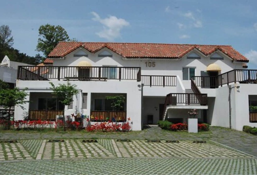 Damyang Meta Pension