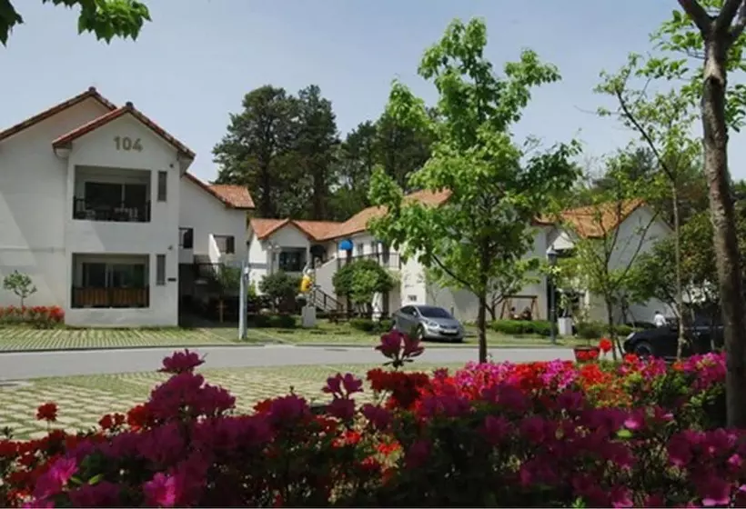 Damyang Meta Pension