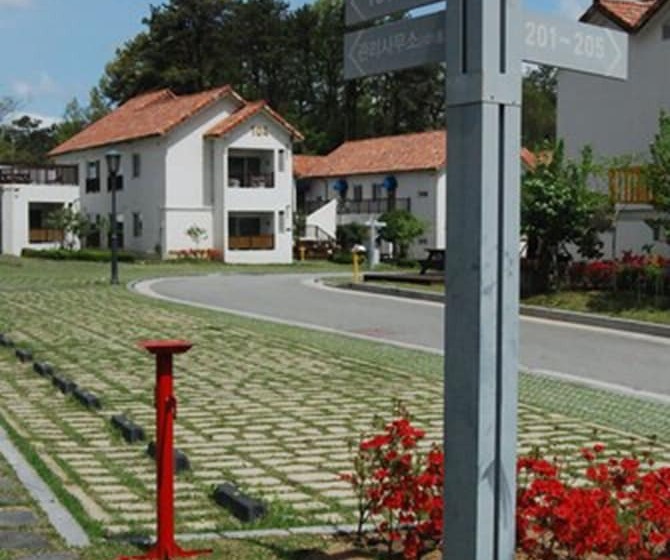 Damyang Meta Pension