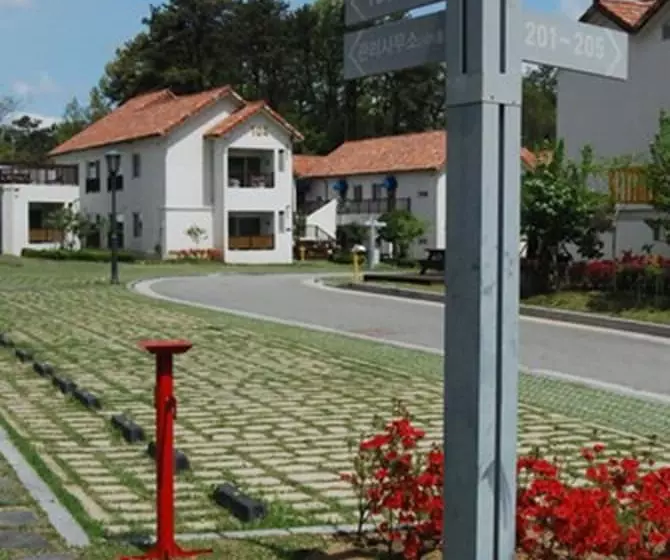 Damyang Meta Pension