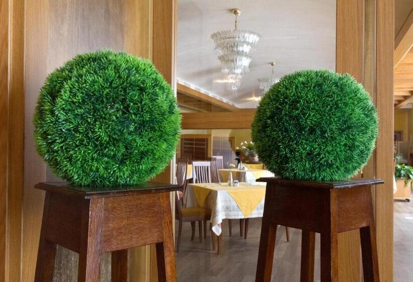 Отель Albergo Roma