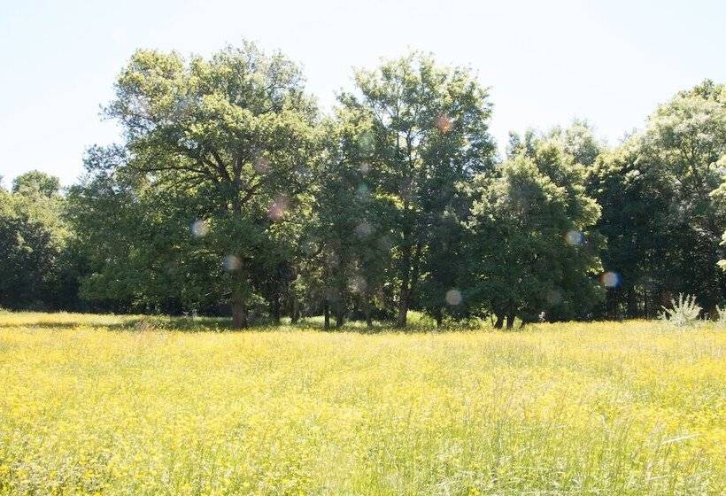 Пансион La Grande Vèvre