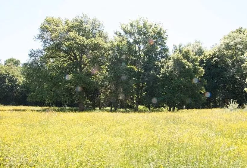 Majatalo La Grande Vèvre