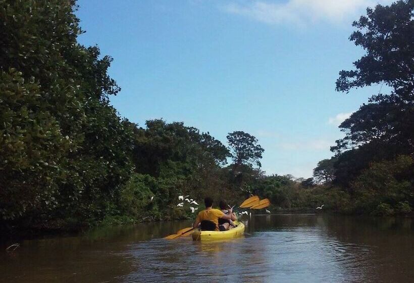 هاستل Los Chocoyos