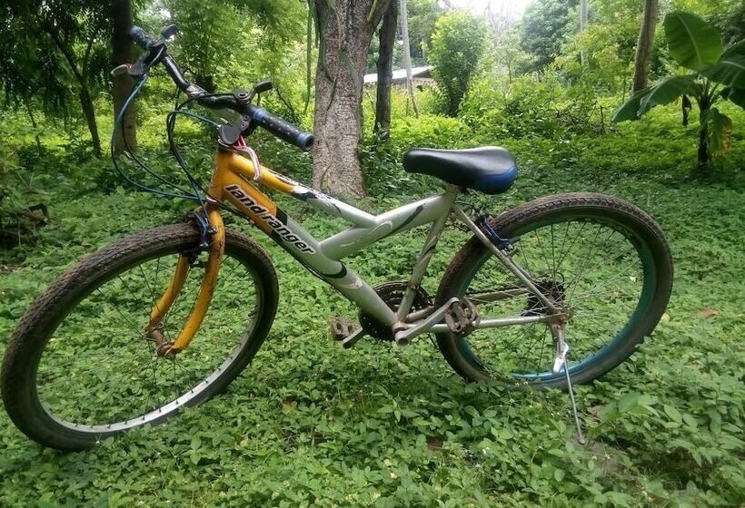 هاستل Los Chocoyos