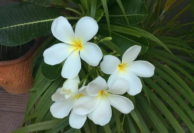 Retkeilymaja Mo2 Stylish