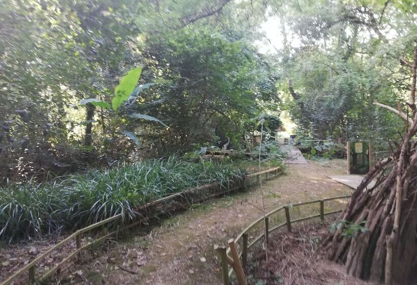 住宿加早餐  Le Moulin Des Marionnettes