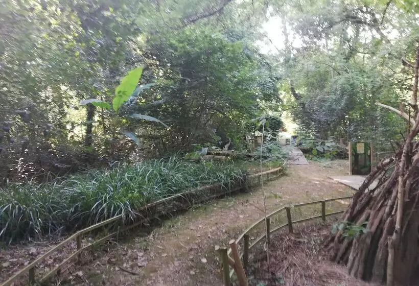 Aamiaismajoitus (B&B) Le Moulin Des Marionnettes