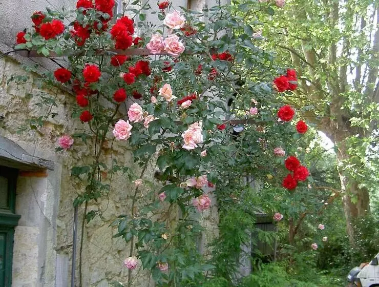 Aamiaismajoitus (B&B) Le Moulin Des Marionnettes