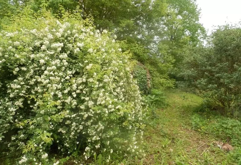 Aamiaismajoitus (B&B) Le Moulin Des Marionnettes