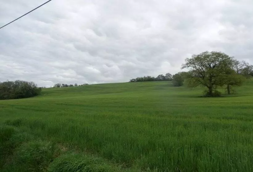 Aamiaismajoitus (B&B) Le Moulin Des Marionnettes