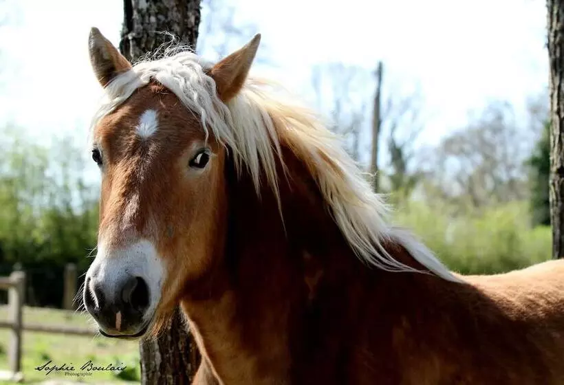 Hotelli Auberge Du Tranchoir