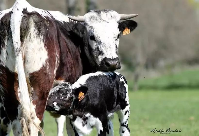 Hotelli Auberge Du Tranchoir