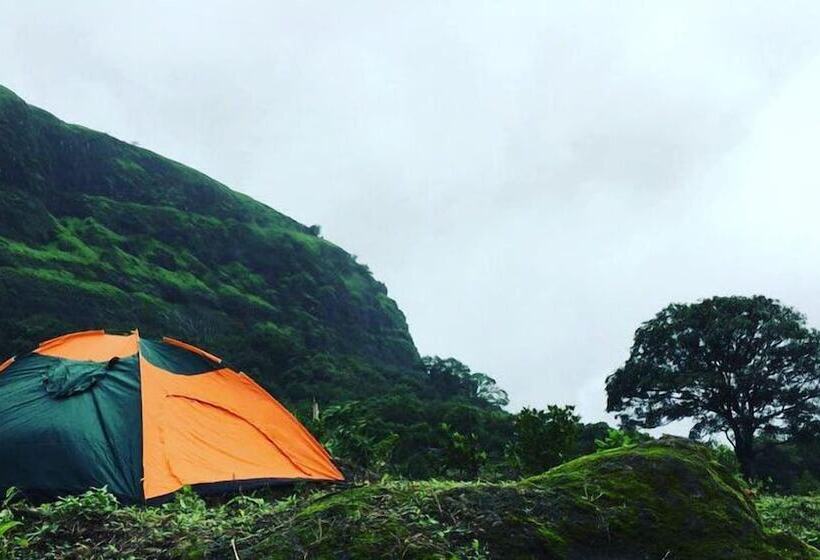 Отель Canary Forest Camping