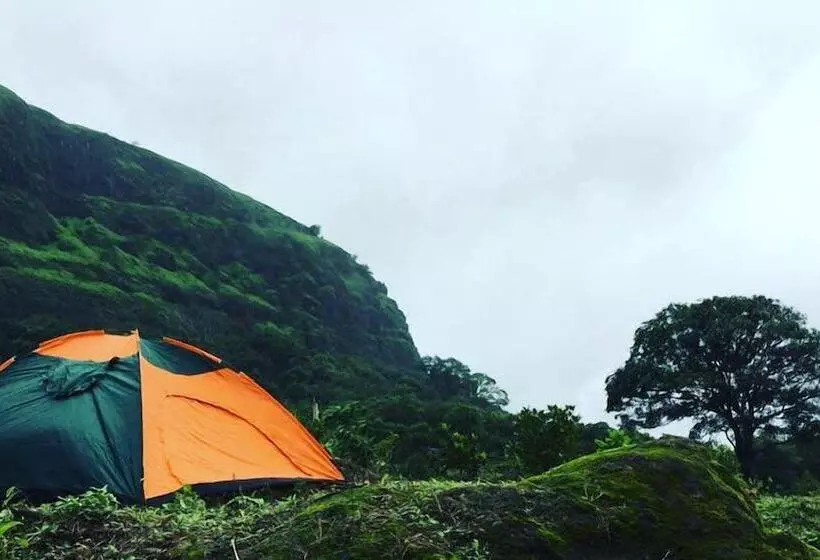 Hotel Canary Forest Camping