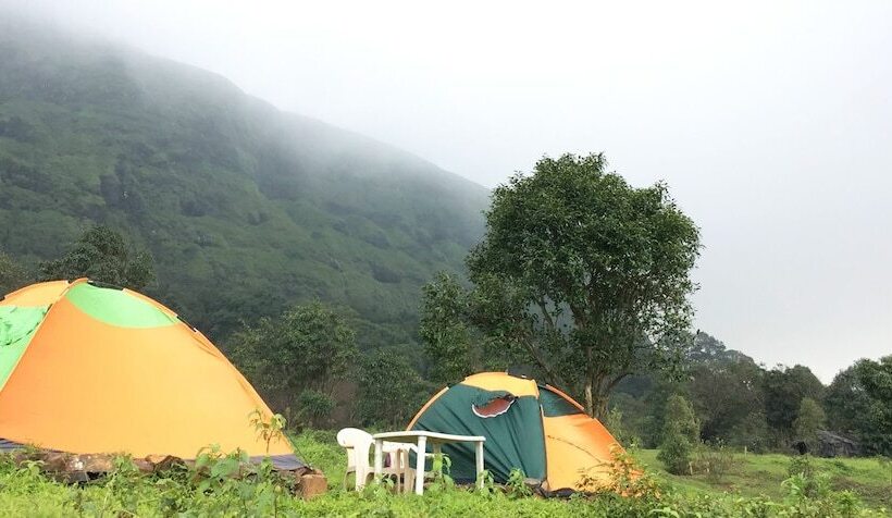 Отель Canary Forest Camping