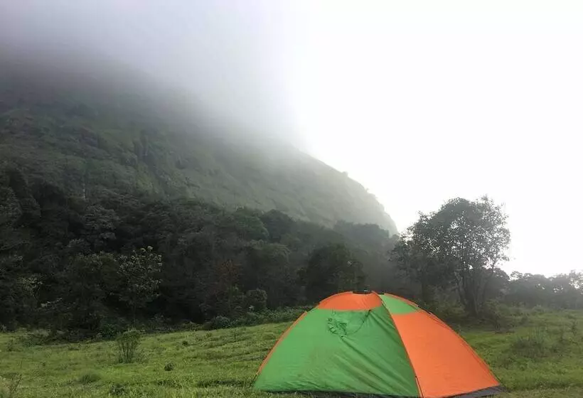 Hotel Canary Forest Camping